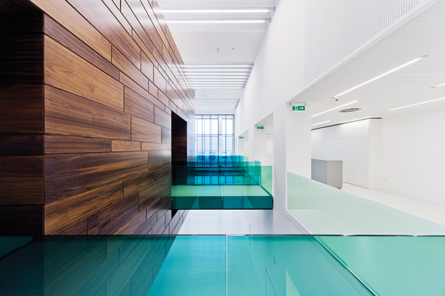 Centro de Inovação Sauflon